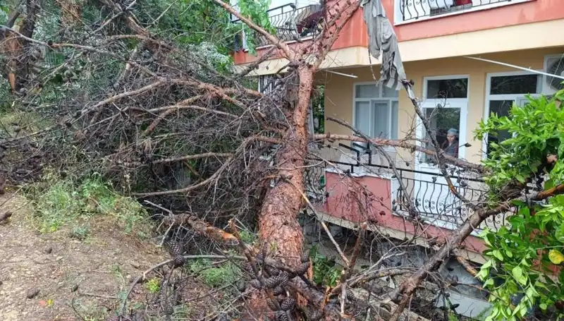 Yağmurların Ardından Gelen Felaket: Bina Devrildi!