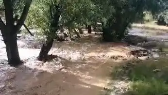 Mersin'de Yağmurun Ardından Gelen Felaket: Sel Dalgaları Şehri Vurdu