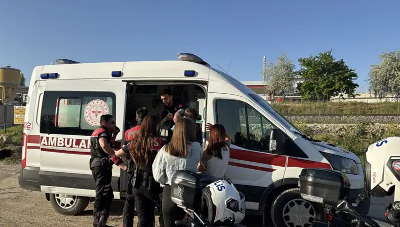 Hayat Mücadelesinde Dostluğun Gücü: Bir Dallan Hayata Tutunmak
