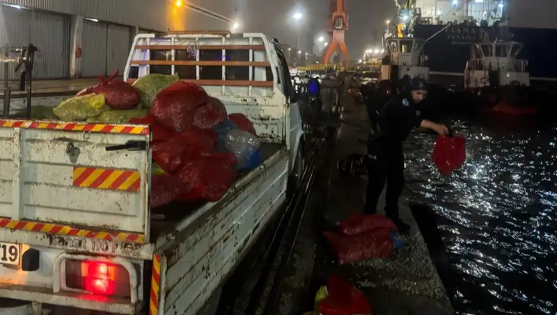 Kaçak Midye Operasyonu: Denizdeki Tehlike ve Suç Ağı