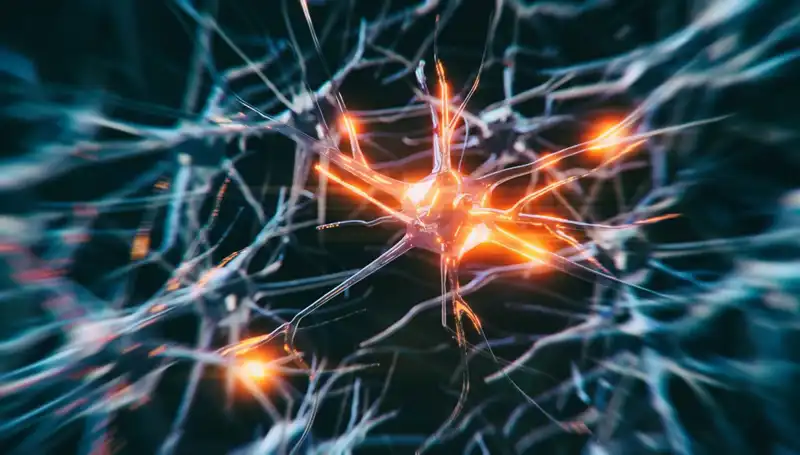 Alzheimer Vakalarının Artışı: Sebepler ve Beklentiler